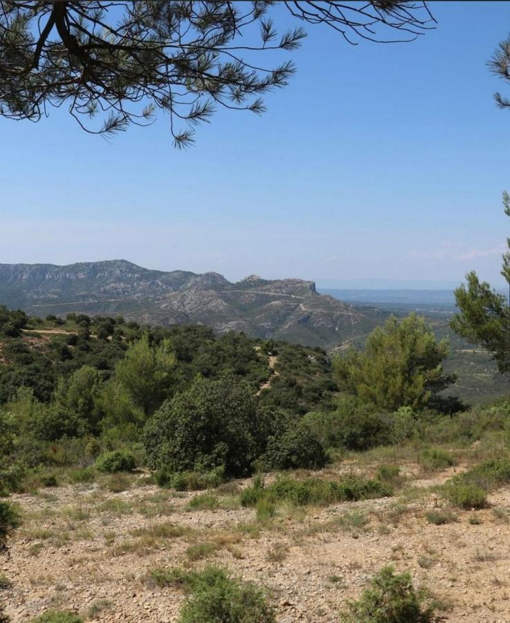 Village De Pagnol *